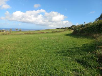 Ribeira Grande, São Miguel 9600-000, Portugal