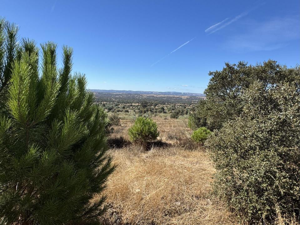 Elvas, Portalegre 7350-501, Portogallo