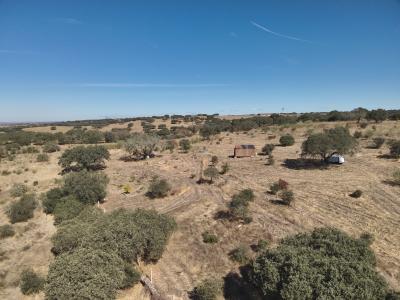 Elvas, Portalegre 7350-501, Portogallo