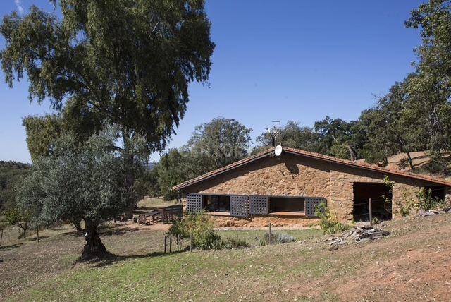 Cáceres, Estrémadure 10450, Espagne