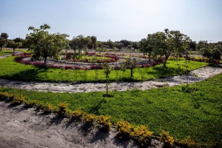 Urb. Sub lote 4-B, sector lote huerta nueva, huerta vieja y gloria , Chincha, Ica 00001, Peru