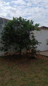 luis alberto del parana , San Lorenzo, Central 00001, Paraguay