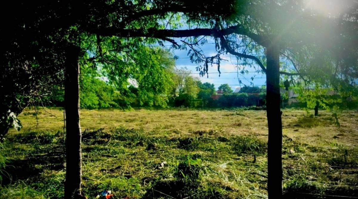 Palo Santo , Mariano Roque Alonso, Trung Ương 00001, Paraguay