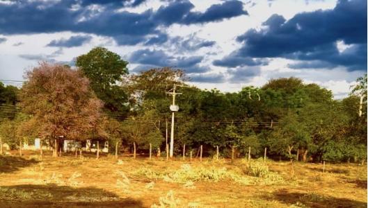 Palo Santo , Mariano Roque Alonso, Trung Ương 00001, Paraguay