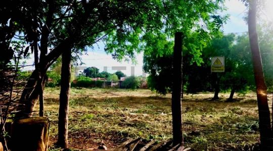 Palo Santo , Mariano Roque Alonso, Trung Ương 00001, Paraguay