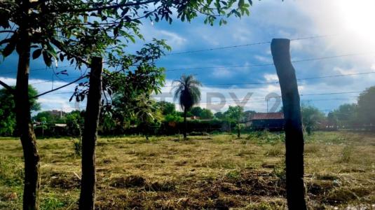 Palo Santo , Mariano Roque Alonso, 중앙 00001, 파라과이