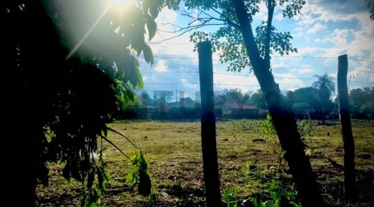 Palo Santo , Mariano Roque Alonso, 중앙 00001, 파라과이