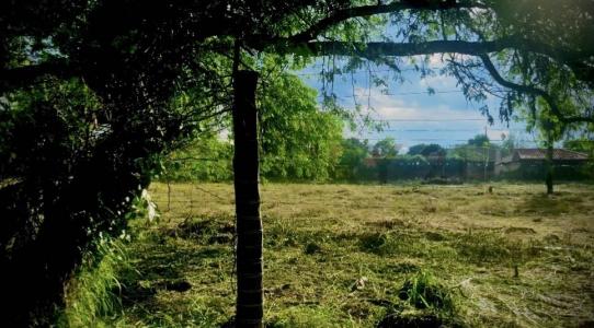 Palo Santo , Mariano Roque Alonso, 중앙 00001, 파라과이