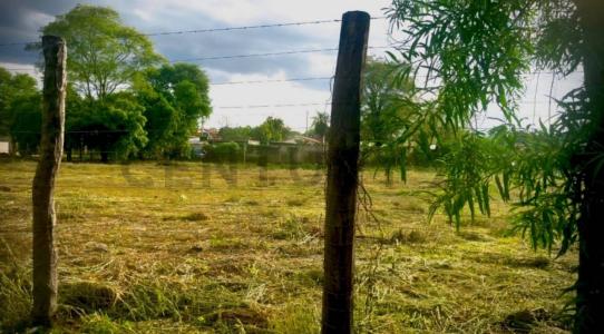 Palo Santo , Mariano Roque Alonso, Central 00001, Paraguay