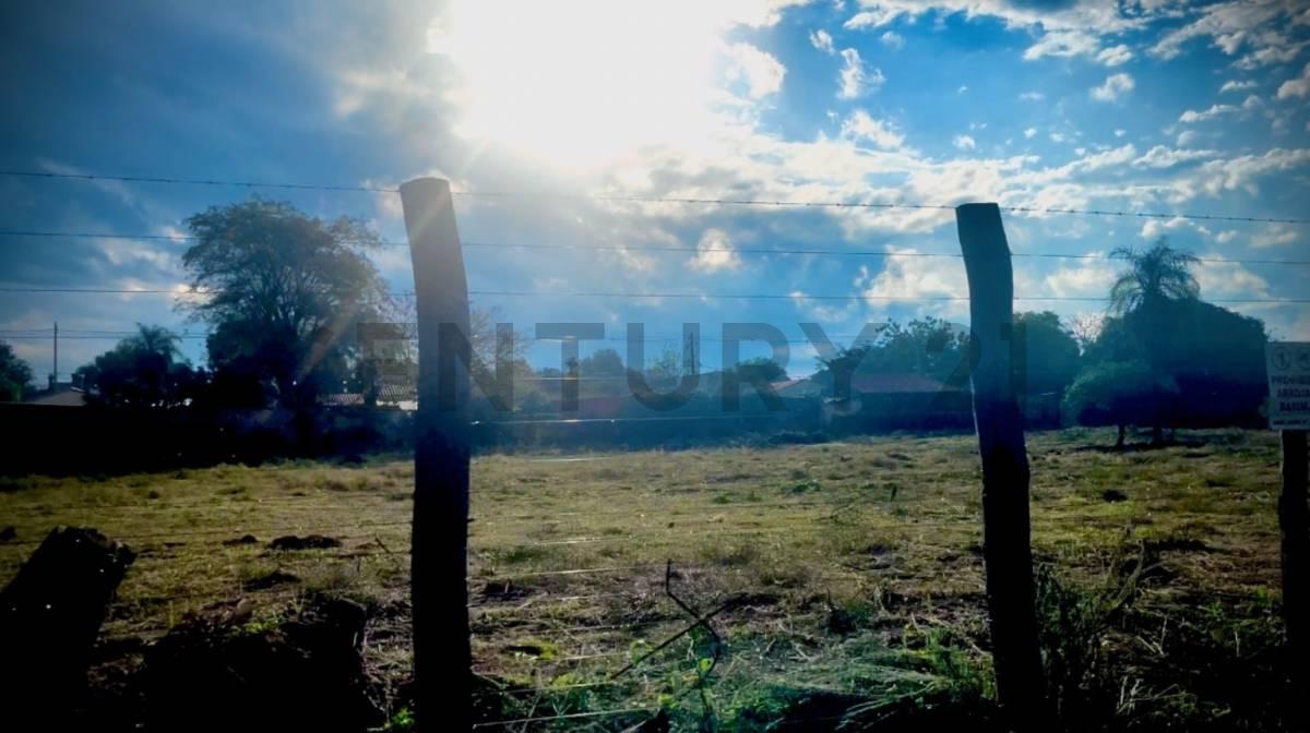 Palo Santo , Mariano Roque Alonso, מרכזי 00001, פרגוואי