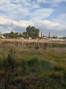 Hueypoxtla, Estado De México 55679, Mexico