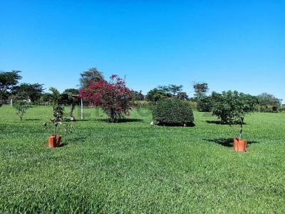 Urb. Cotoca, Comunidad El Espino , Este, Santa Cruz 00001, Bolivia