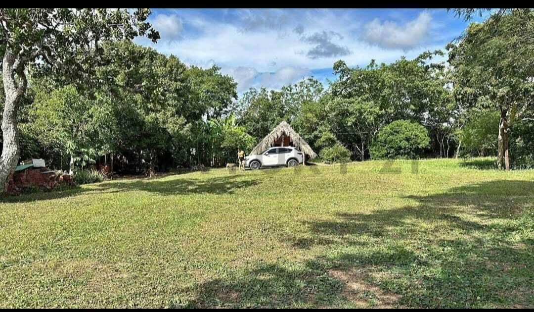 Urubo, Santa Cruz 00001, Bolivia