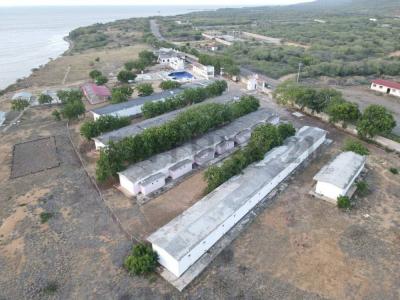 Lechería, Anzoategui 00001, فنزويلا