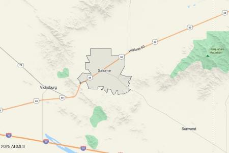 66662 Cactus Street #158, Salome, אריזונה 85348, ארצות הברית של אמריקה 