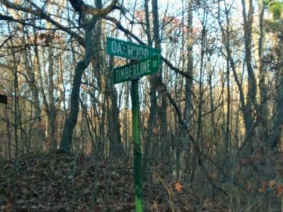 9579 E. Timberline Trail, Reed City, Michigan 49677, Estados Unidos