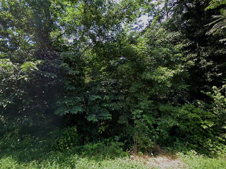 1715 Spencer Place, Lynchburg, Virginie 24504, États-Unis