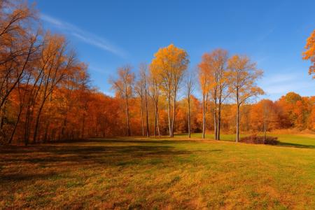 0 Old Highway 48, Clarksville, Tennessee 37040, HOA KỲ