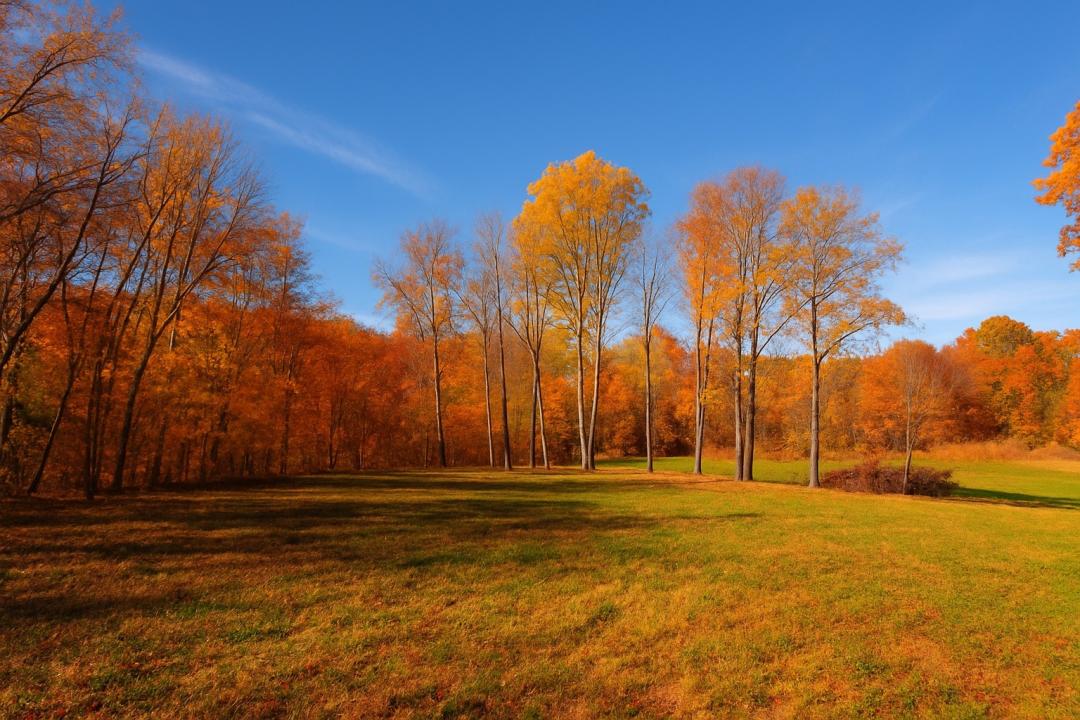 0 Old Highway 48, Clarksville, Tennessee 37040, HOA KỲ