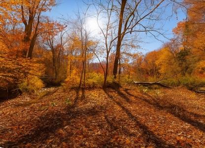 0 Old Highway 48, Clarksville, Tennessee 37040, HOA KỲ