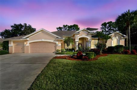 3988 Mimosa Place, Palm Harbor, Florida 34685, USA