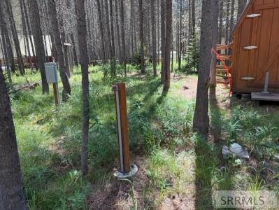 4042 Marlin Drive, Island Park, Idaho 83429, États-Unis