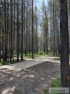 4042 Marlin Drive, Island Park, Idaho 83429, États-Unis