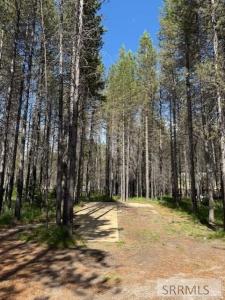 4042 Marlin Drive, Island Park, Idaho 83429, États-Unis