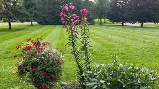 5 DAFOE COURT, Aurora, Ontario L4G 7C8, CANADÁ