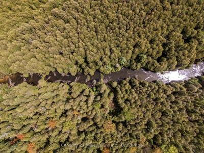 525197 ARTEMESIA EUPHRASIA TOWNLINE, Grey Highlands, Ontario N0C 1H0, Canada