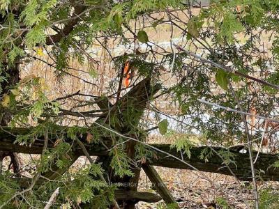 000 ARMSTRONG ROAD, Drummond/north Elmsley, Ontario K7A 4S4, Canada