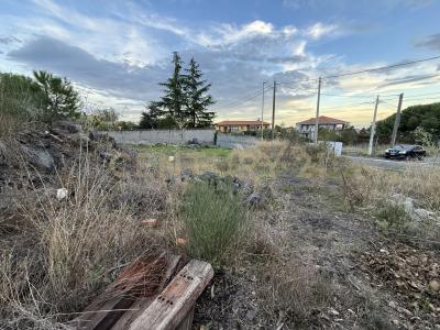 Via Mompilieri, Mascalucia, Sicilia 95030, 意大利