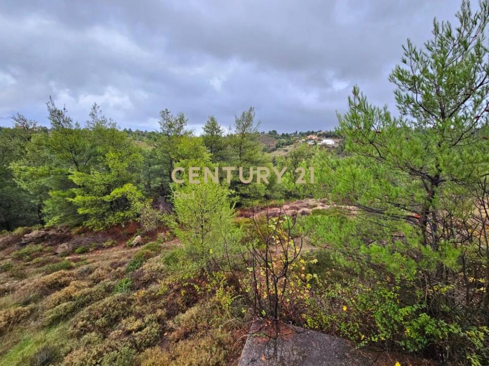 Com. Kapandriti, Rest Of Attica, Greece