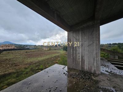 Com. Kapandriti, Rest Of Attica, Greece