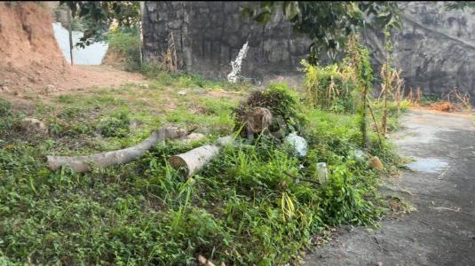 JUAREZ 17,, Puerto Vallarta, Jalisco 48290, Mexico