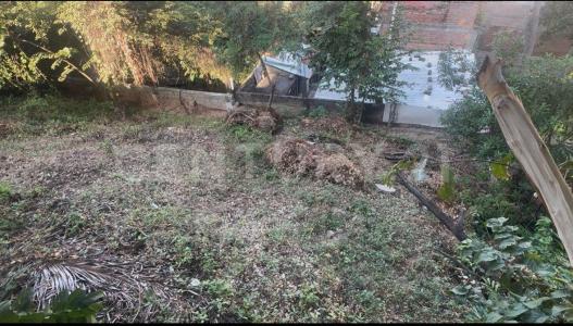 JUAREZ 17,, Puerto Vallarta, Jalisco 48290, Mexico