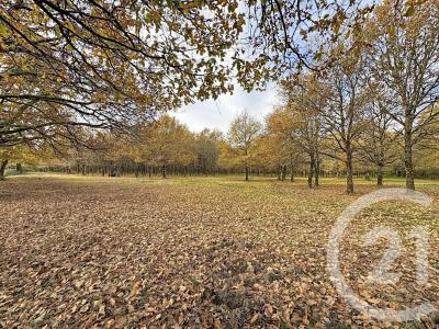 Menestreau En Villette, Centre-Val De Loire 45240, France