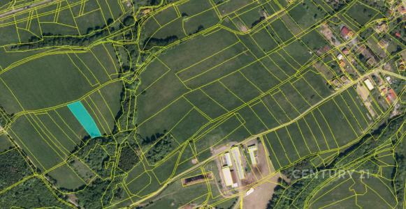 Růžďka, Vsetín 100 00, República Checa