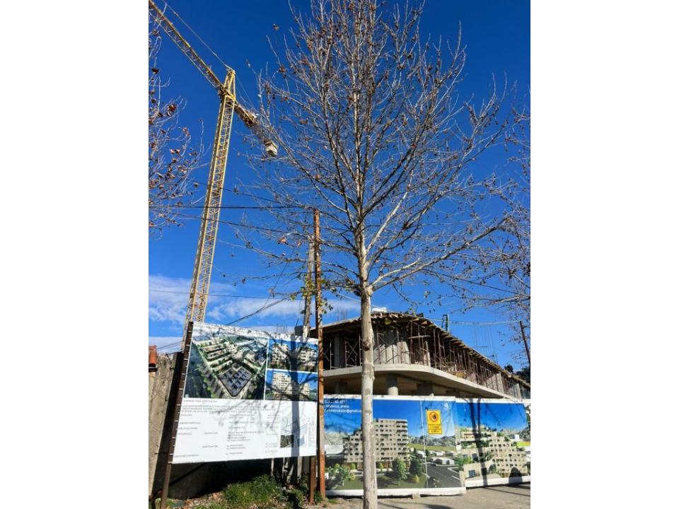 Elbasan Qender, Elbasan, Albania