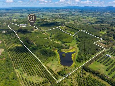 308 Cowlong Road, Mcleans Ridges, NSW 2480, Austrália