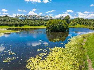 308 Cowlong Road, Mcleans Ridges, NSW 2480, Austrália