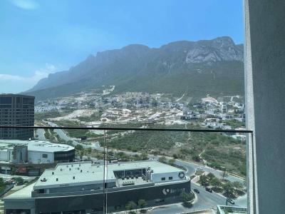 Avenida Dr. Ignacio Morones Prieto 1050,, Santa Catarina, Nuevo León 66196, Meksika