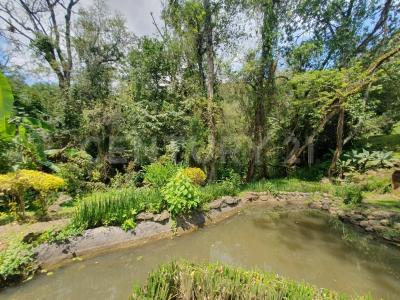 Valle De Bravo, 墨西哥州 51225, 墨西哥