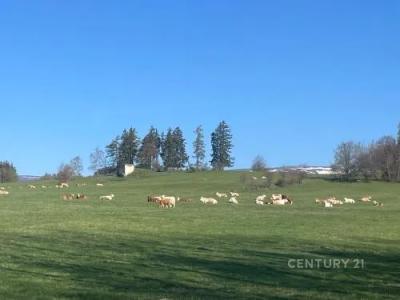 Dolní Moravice, Bruntál 100 00, Czech Republic