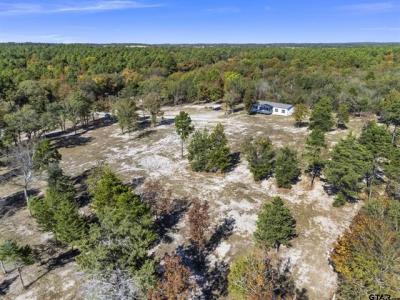 1450 N FM 2869, Winnsboro, Техас 75494, Соединенные Штаты