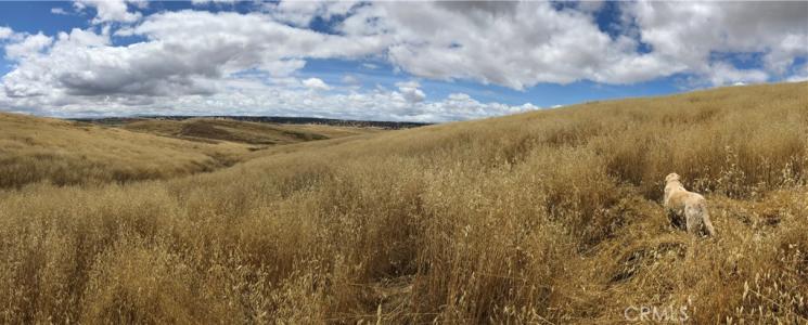 3730 Gruenhagen, Paso Robles, California 93446