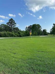 213 COUNTY ROAD 3131, De Berry, Texas 75639