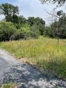 9349 Dickson Road, Fort Worth, Texas 76179