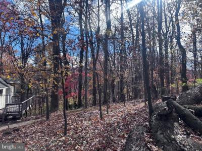 132 Pinecrest Ln, Bluemont, Virginia 20135, Estados Unidos