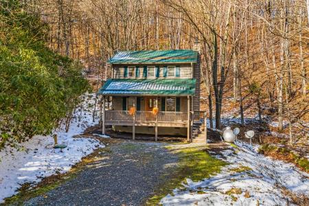 7158 Max Patch Road, Hot Springs, Caroline Du Nord 28743, États-Unis